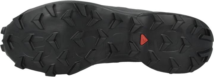 Actual product image Salomon Speedcross 5 (47 1/3)