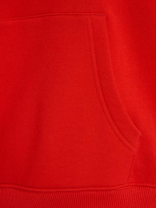 Produktbild Tommy Jeans Tjw Bxy Logo Drawcord Hoodie Ext (M)