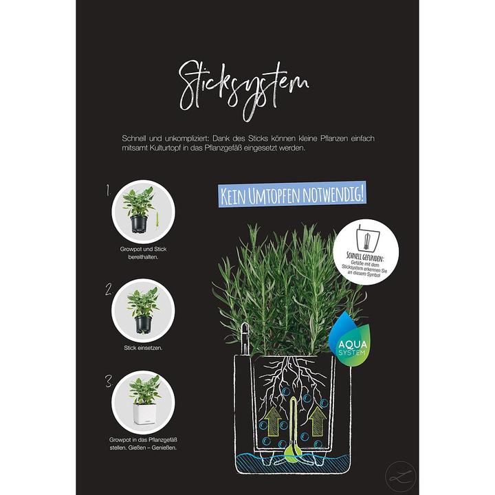 Immagine prodotto Lechuza Green Wall Home Kit (15 cm)