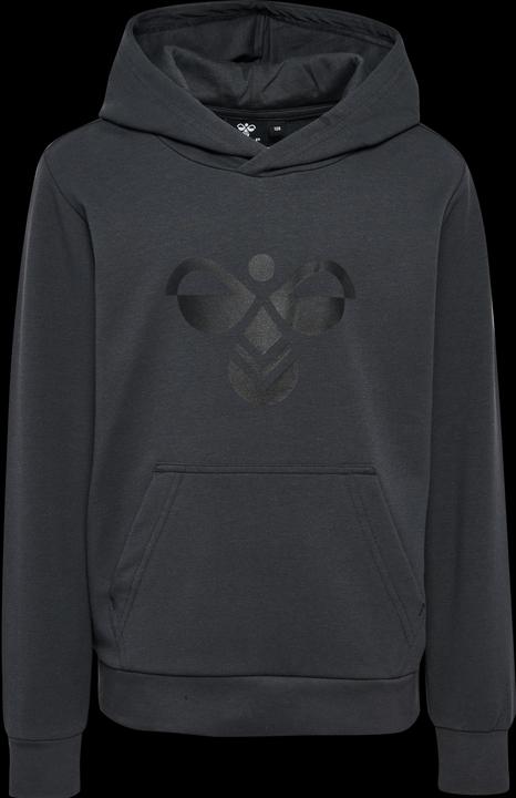 Actual product image hummel hmlCUATRO HOODIE (104)