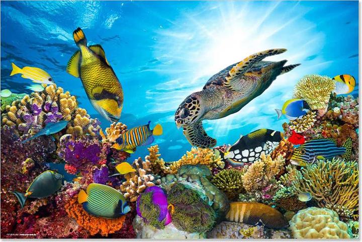 CoverYourDesk Underwater World (60 x 40 cm)
