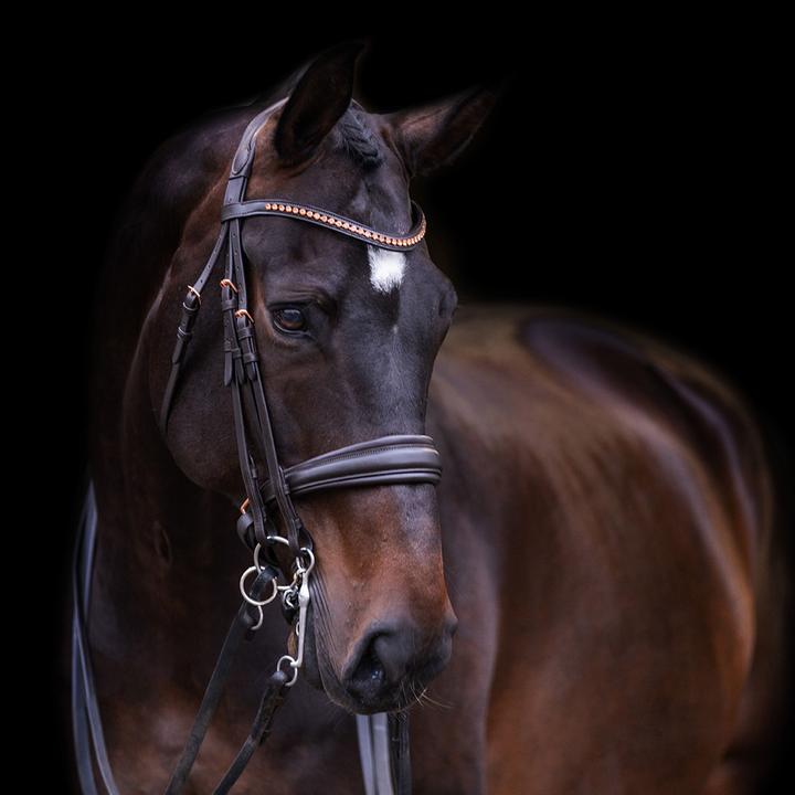 Immagine prodotto Imperial Riding Fria