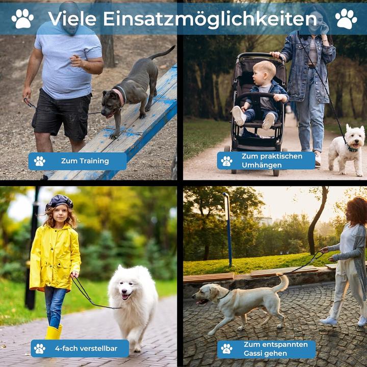 Produktbild Golden Pets Reflektierende Hundeleine (Hund)