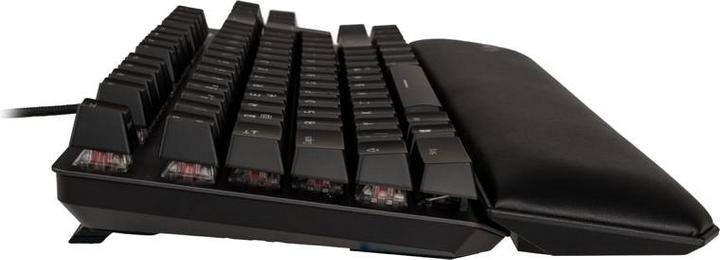 Actual product image ASUS 90MP00N7-BKDA00 (DE, Cable)