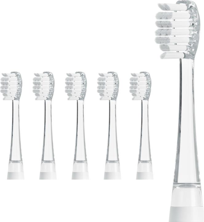 Actual product image Ailoria bubble brush (6 x)