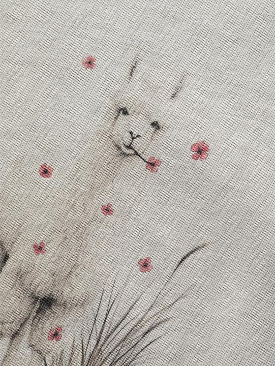 Image du produit Chillaz Klettershirt Alpaca Meadow (34)