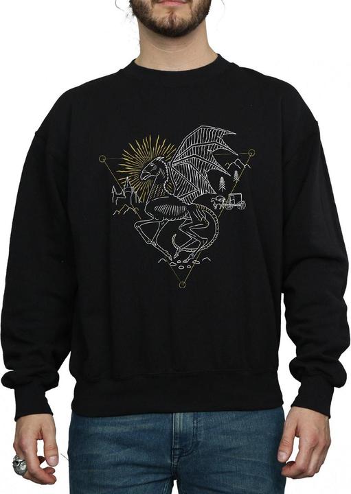 Produktbild Thestral Line Art Sweatshirt (L)