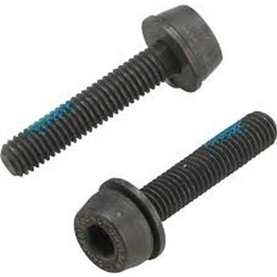 Actual product image Campagnolo H11