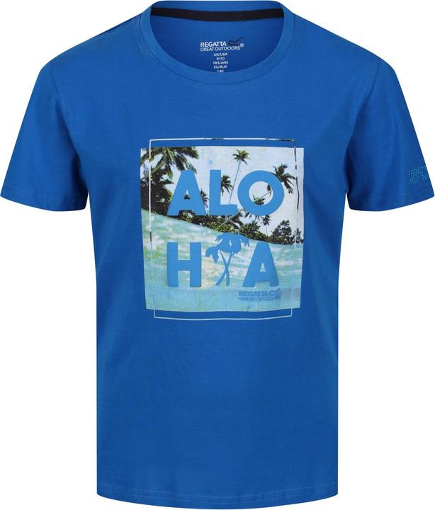 Regatta Bosley V Tshirt (164)