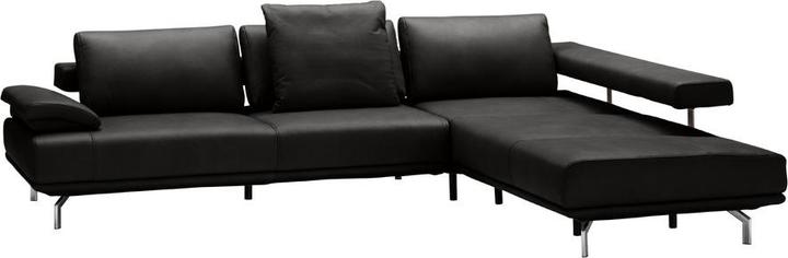 Cat. 56, Torro nero