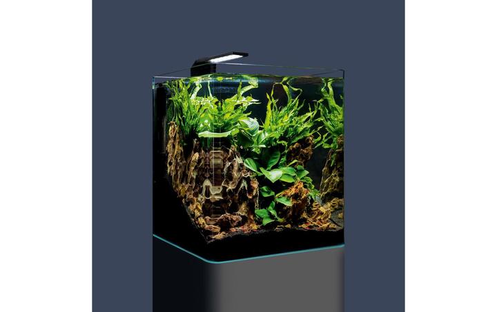 Image du produit Dennerle Nano Cube Complete (30 l)