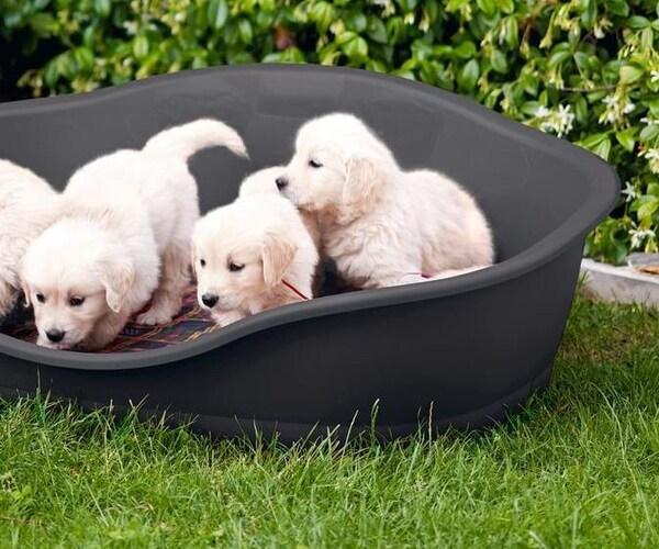 Produktbild Kerbl Sleepers (Katze, Hund)