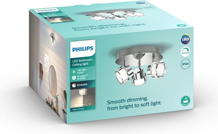 Image du produit Philips Resort (500 lm)