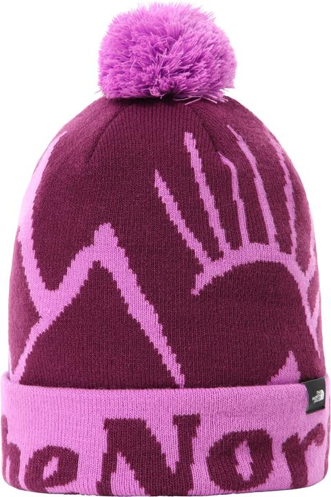 Image du produit North Face Ski Tuke (Taille unique)