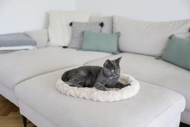 Immagine prodotto Kerbl Coccola il letto (Gatto)