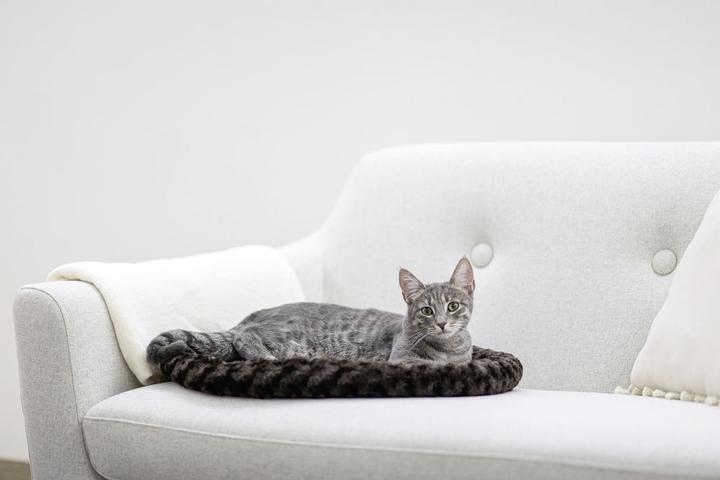 Immagine prodotto Kerbl Coccola il letto (Cane)