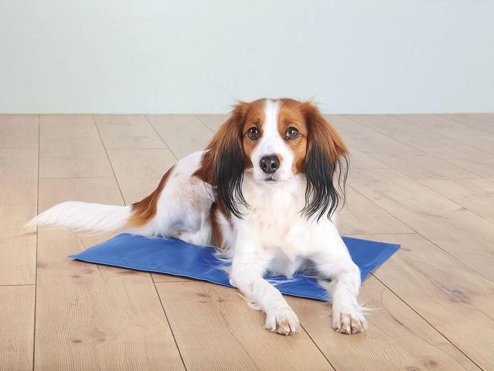 Image du produit Trixie Tapis de refroidissement (Chien, Chat)