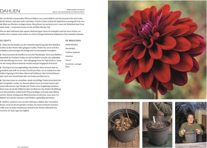 Actual product image Das Gartenbuch (German, Monty Don, 2024)