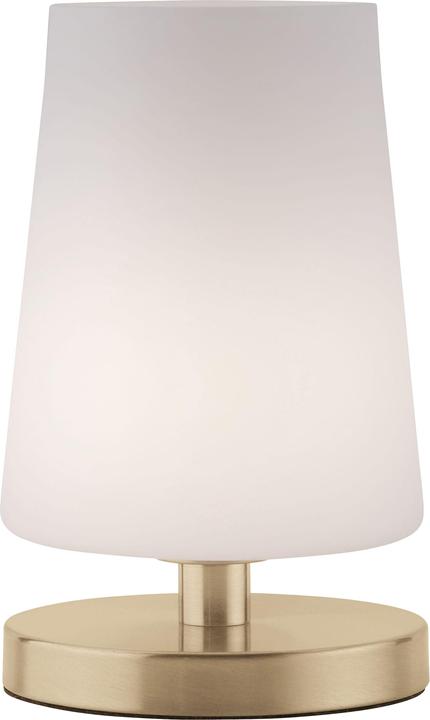 Produktbild Paul Neuhaus messing LEDTischleuchte 3000K 3W (245 lm, G9)