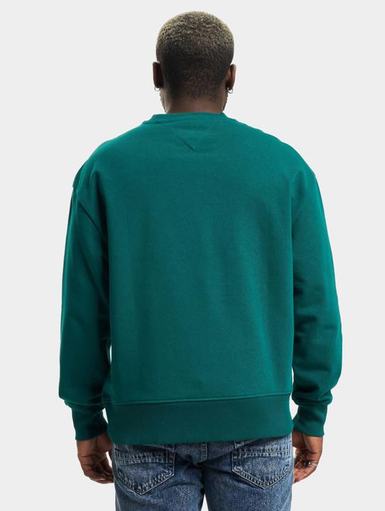 Image du produit Tommy Hilfiger Tommy Jeans Signature Sweater - 97575 (M)