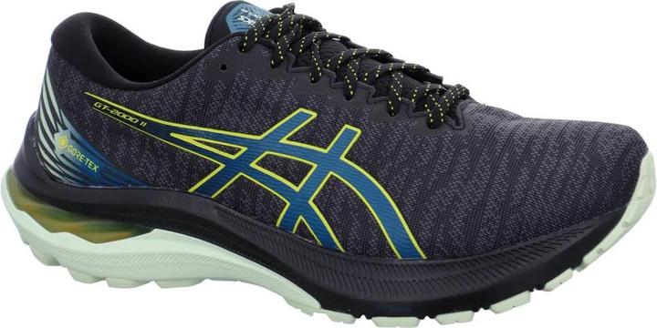ASICS Performance GT-2000 11 GTX (43.5)