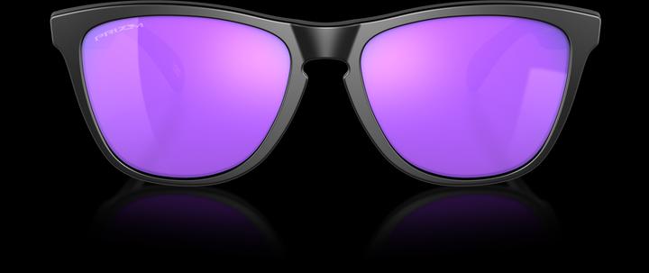 Produktbild Oakley Lifestylebrille Frogskins