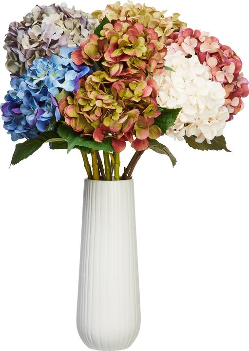 Produktbild micasa Hortensie (65 cm)
