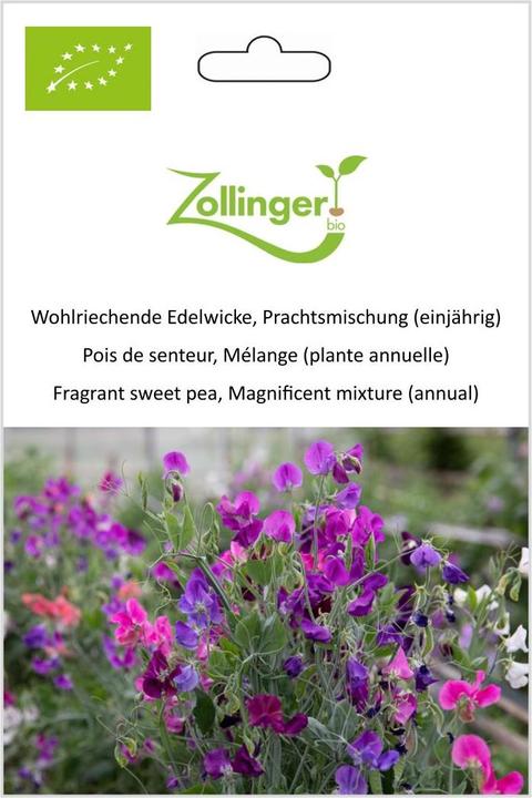Immagine prodotto Zollinger Bio Pisello dolce profumato, splendida miscela (annuale) (Semi di piante)