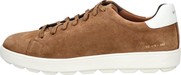 Actual product image Geox Sneaker (44)