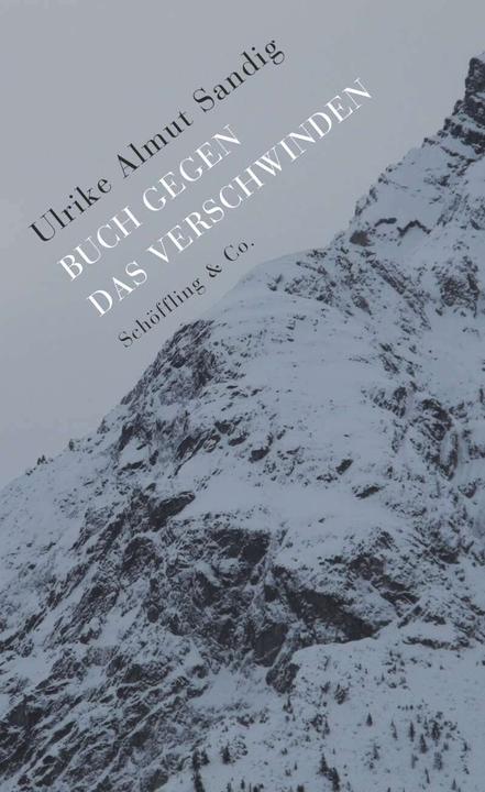 Buch gegen das Verschwinden (Tedesco, Ulrike Almut Sandig, 2015)