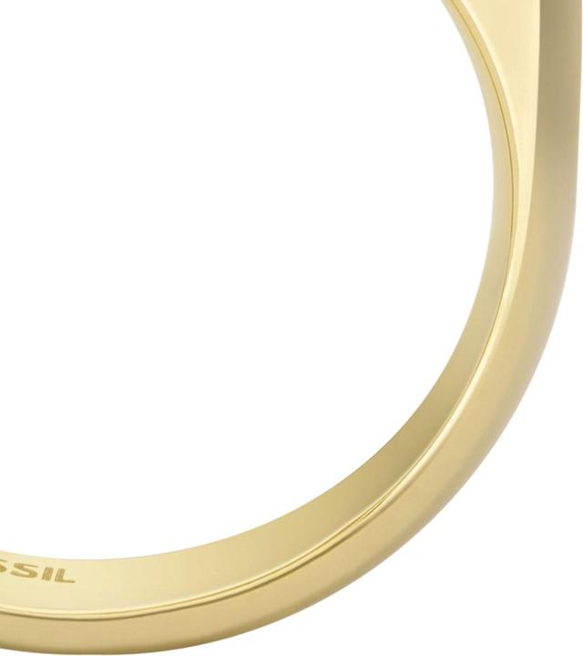 Image du produit Fossil Heritage (60)
