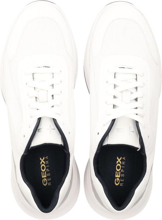 Image du produit Geox Sneaker (43)