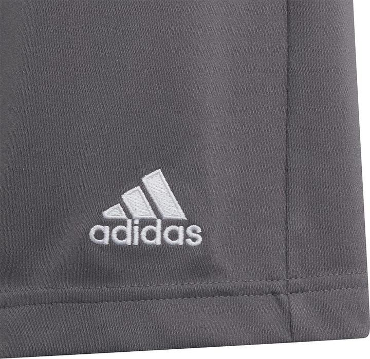Actual product image adidas Entrada 22 Shorts (152)