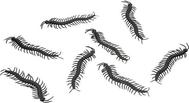 Actual product image Chaks Centipede - 8 pieces