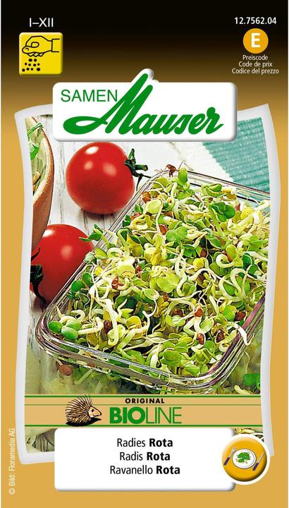 Actual product image Samen Mauser BIO sprout Radishes Rota (Seedlings)