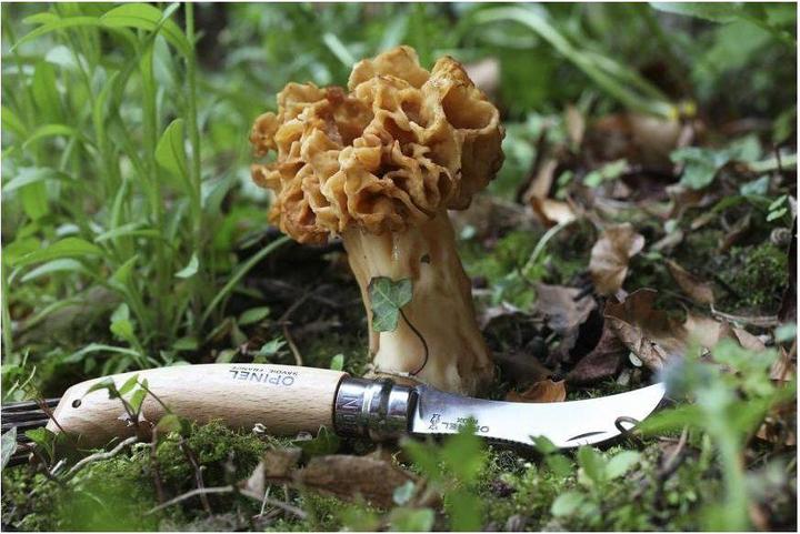 Immagine prodotto Opinel N. 8 (7 cm)