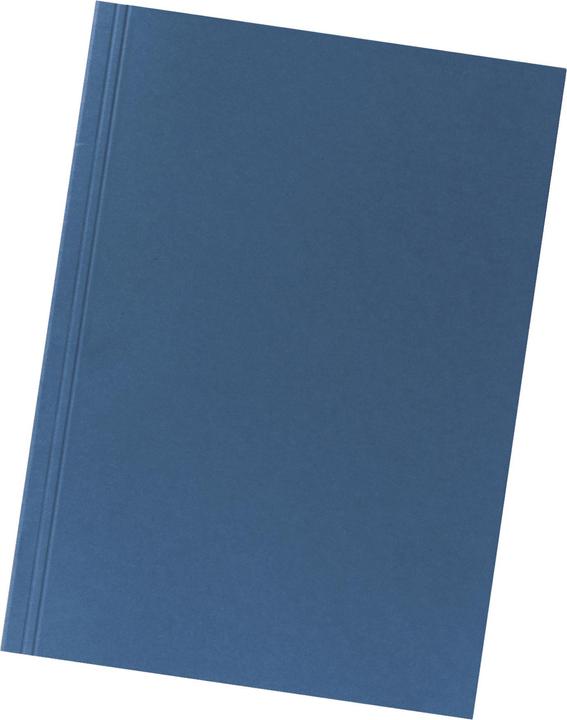 Produktbild Falken Aktensammler (A4, 1 x)