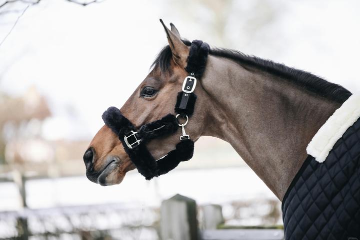 Produktbild Kentucky Horsewear Halfter Lammfell