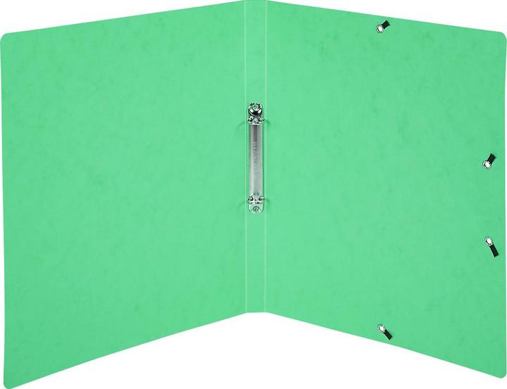 Actual product image Exacompta Colorspan (A4, 20 mm, 1 Piece)