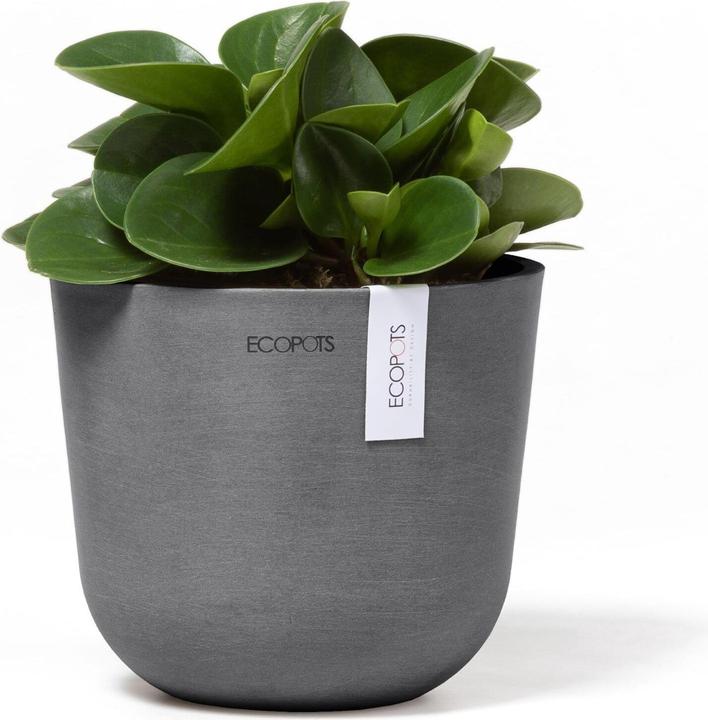 Image du produit Ecopots Oslo Mini (16 cm)
