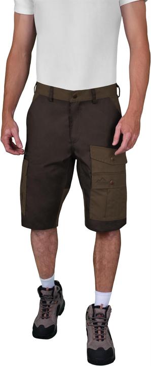 Braun, Walnuss