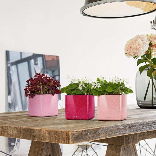 Immagine prodotto Lechuza Cubo lucido 14 (14 cm)