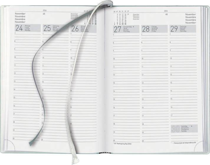 Produktbild Biella Geschäftsagenda Terminia (14.5 x 20.5 cm)