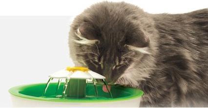 Produktbild Catit Flower Fountain (3 l)
