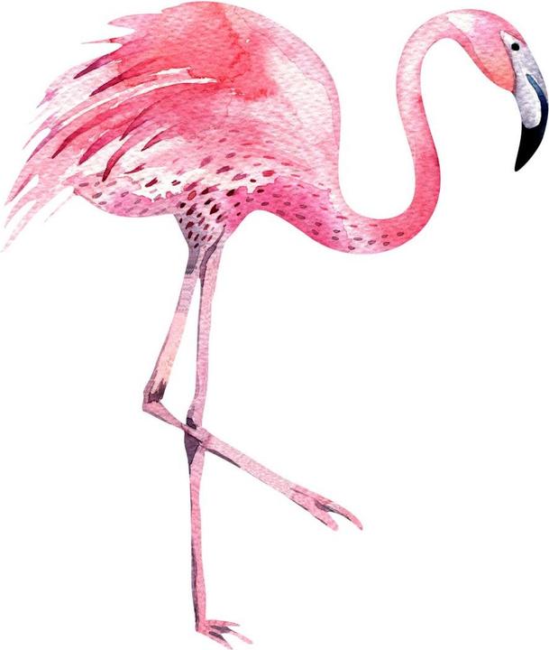 Actual product image Trenddeko Kristina Kvilis - Flamingo 02 (69 x 80 cm)