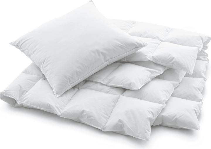 Produktbild Swiss Dream by billerbeck Nature Pillow Classic 90 (65 x 65 cm)
