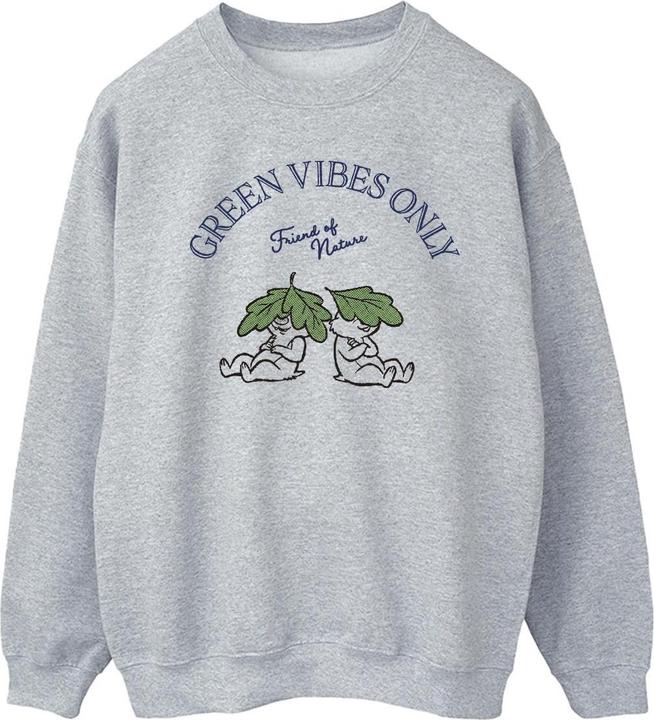 Image du produit Disney - Sweat CHIP 'N DALE GREEN VIBES ONLY - Homme (XL)