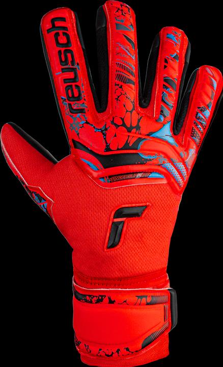 Image du produit Reusch Attrakt Freegel Infinity Gants de gardien de but Noir 5370735 7000 (8) (8)