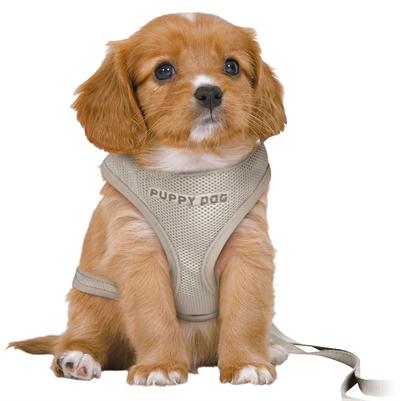 Produktbild Trixie Junior Welpengeschirr mit Leine, M-L: 36-50cm/10mm, 2m, hellgrau (M, L, Hund)