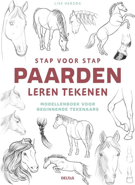 Actual product image Learn to draw horses step by step